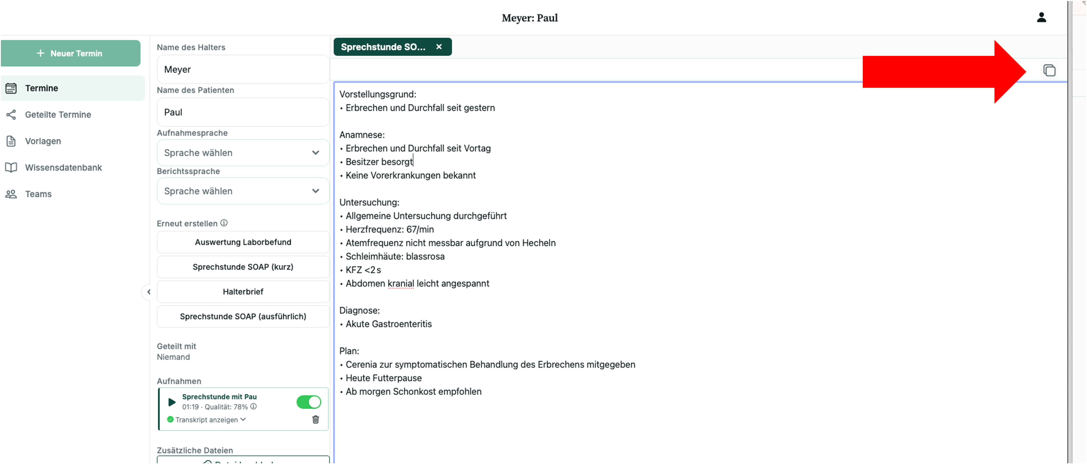 Screenshot: Kopiersymbol oben rechts im fertigen Bericht