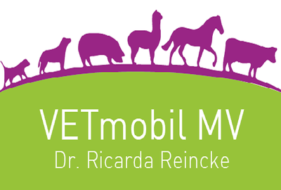 VETmobil MV — Dr. Ricarda Reincke